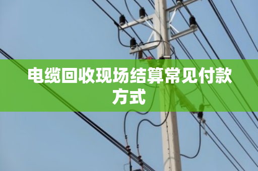 电缆回收现场结算常见付款方式 电缆回收现场结算常见付款方式