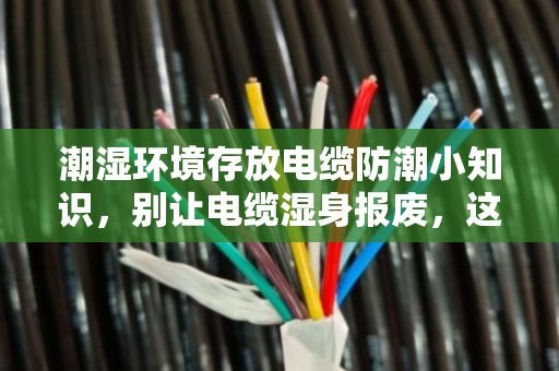 潮湿环境存放电缆防潮小知识,别让电缆湿身报废,这些细节决定寿命 潮湿环境存放电缆防潮小知识,别让电缆湿身报废,这些细节决定寿命