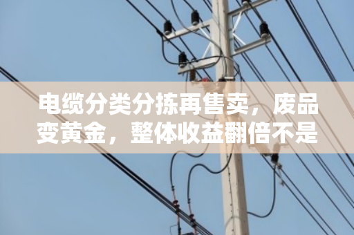 电缆分类分拣再售卖,废品变黄金,整体收益翻倍不是梦 电缆分类分拣再售卖,废品变黄金,整体收益翻倍不是梦
