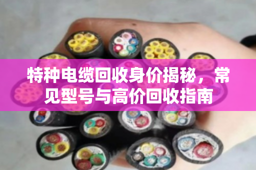 特种电缆回收身价揭秘，常见型号与高价回收指南