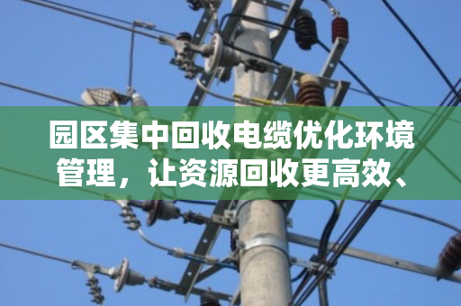园区集中回收电缆优化环境管理,让资源回收更高效、更环保 园区集中回收电缆优化环境管理,让资源回收更高效、更环保