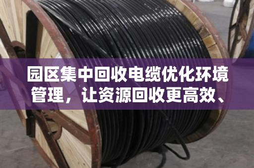 园区集中回收电缆优化环境管理，让资源回收更高效、更环保