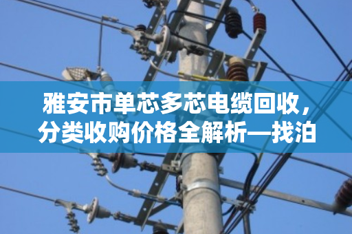 雅安市单芯多芯电缆回收,分类收购价格全解析—找泊祎回收,省心又划算 雅安市单芯多芯电缆回收,分类收购价格全解析—找泊祎回收,省心又划算
