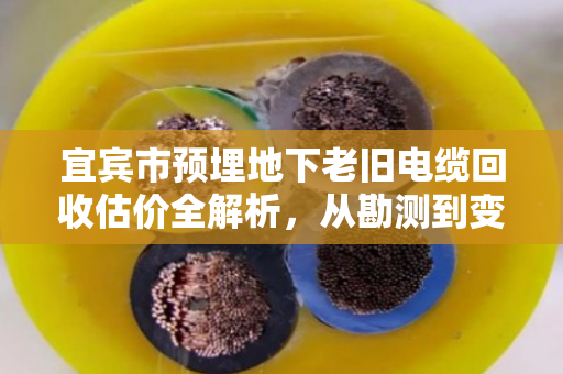 宜宾市预埋地下老旧电缆回收估价全解析,从勘测到变现,泊祎回收一站式服务 宜宾市预埋地下老旧电缆回收估价全解析,从勘测到变现,泊祎回收一站式服务