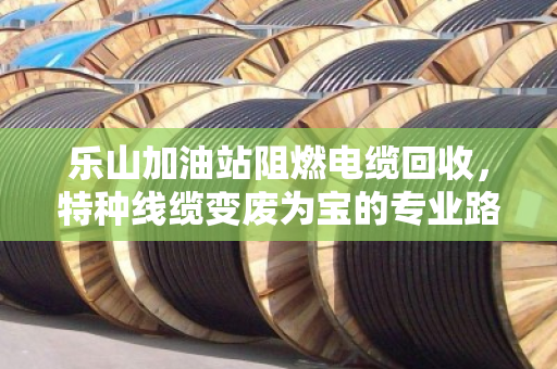 乐山加油站阻燃电缆回收,特种线缆变废为宝的专业路径 乐山加油站阻燃电缆回收,特种线缆变废为宝的专业路径