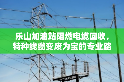 乐山加油站阻燃电缆回收，特种线缆变废为宝的专业路径
