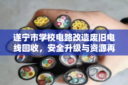 遂宁市学校电路改造废旧电线回收，安全升级与资源再利用的共赢之道
