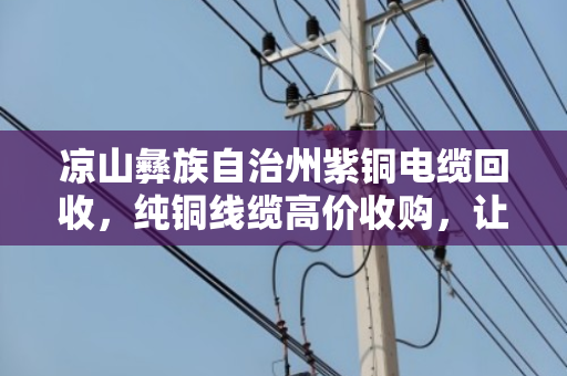 凉山彝族自治州紫铜电缆回收,纯铜线缆高价收购,让废旧资源变废为宝 凉山彝族自治州紫铜电缆回收,纯铜线缆高价收购,让废旧资源变废为宝