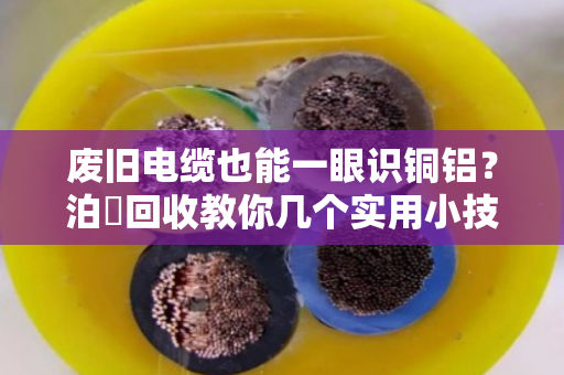 废旧电缆也能一眼识铜铝?泊祎回收教你几个实用小技巧 废旧电缆也能一眼识铜铝?泊祎回收教你几个实用小技巧