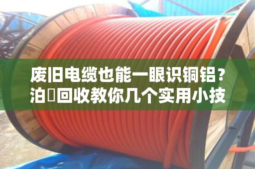 废旧电缆也能一眼识铜铝?泊祎回收教你几个实用小技巧 废旧电缆也能一眼识铜铝?泊祎回收教你几个实用小技巧