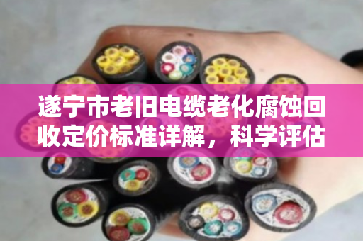 遂宁市老旧电缆老化腐蚀回收定价标准详解,科学评估与市场接轨 遂宁市老旧电缆老化腐蚀回收定价标准详解,科学评估与市场接轨
