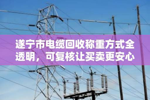 遂宁市电缆回收称重方式全透明,可复核让买卖更安心 遂宁市电缆回收称重方式全透明,可复核让买卖更安心