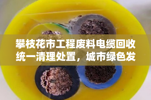 攀枝花市工程废料电缆回收统一清理处置，城市绿色发展新篇章