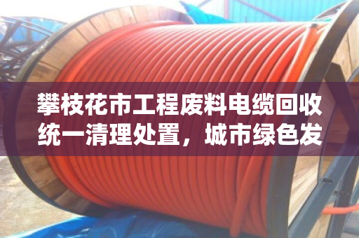 攀枝花市工程废料电缆回收统一清理处置，城市绿色发展新篇章