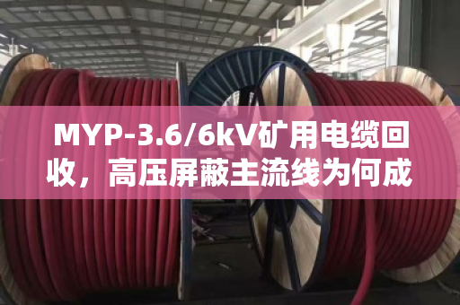 MYP-3.6/6kV矿用电缆回收，高压屏蔽主流线为何成为行业香饽饽