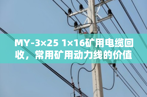 MY-3×25 1×16矿用电缆回收,常用矿用动力线的价值与处理全攻略 MY-3×25 1×16矿用电缆回收,常用矿用动力线的价值与处理全攻略