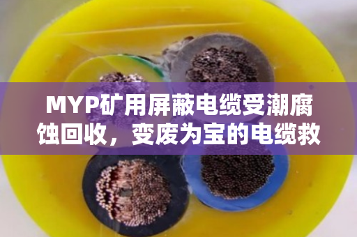 MYP矿用屏蔽电缆受潮腐蚀回收,变废为宝的电缆救命指南 MYP矿用屏蔽电缆受潮腐蚀回收,变废为宝的电缆救命指南