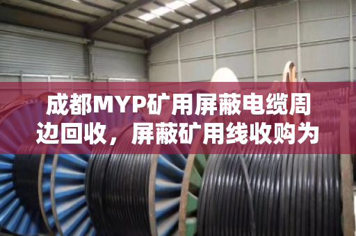 成都MYP矿用屏蔽电缆周边回收,屏蔽矿用线收购为何选择泊祎回收? 成都MYP矿用屏蔽电缆周边回收,屏蔽矿用线收购为何选择泊祎回收?