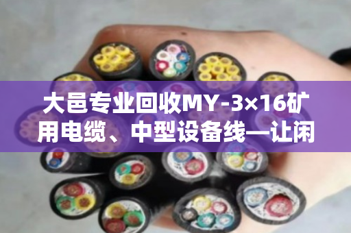 大邑专业回收MY-3×16矿用电缆、中型设备线—让闲置资产变现,省心又划算 大邑专业回收MY-3×16矿用电缆、中型设备线—让闲置资产变现,省心又划算