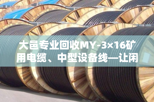 大邑专业回收MY-3×16矿用电缆、中型设备线—让闲置资产变现,省心又划算 大邑专业回收MY-3×16矿用电缆、中型设备线—让闲置资产变现,省心又划算