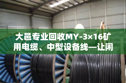 大邑专业回收MY-3×16矿用电缆、中型设备线—让闲置资产变现，省心又划算