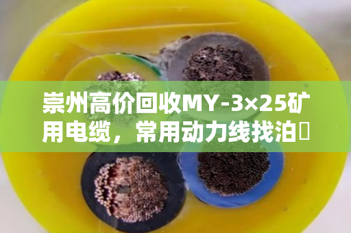 崇州高价回收MY-3×25矿用电缆,常用动力线找泊祎回收,省心又划算 崇州高价回收MY-3×25矿用电缆,常用动力线找泊祎回收,省心又划算