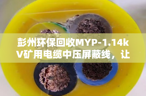 彭州环保回收MYP-1.14kV矿用电缆中压屏蔽线,让废旧电缆重获新生 彭州环保回收MYP-1.14kV矿用电缆中压屏蔽线,让废旧电缆重获新生
