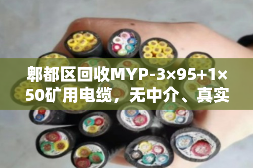 郫都区回收MYP-3×95+1×50矿用电缆，无中介、真实报价、现场结算