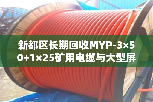 新都区长期回收MYP-3×50+1×25矿用电缆与大型屏蔽线,泊祎回收专业高效 新都区长期回收MYP-3×50+1×25矿用电缆与大型屏蔽线,泊祎回收专业高效