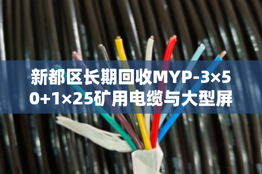 新都区长期回收MYP-3×50+1×25矿用电缆与大型屏蔽线,泊祎回收专业高效 新都区长期回收MYP-3×50+1×25矿用电缆与大型屏蔽线,泊祎回收专业高效