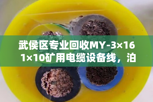 武侯区专业回收MY-3×16 1×10矿用电缆设备线,泊祎回收帮你算清这笔账 武侯区专业回收MY-3×16 1×10矿用电缆设备线,泊祎回收帮你算清这笔账