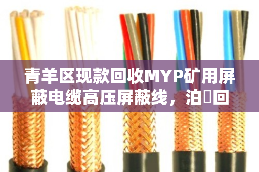 青羊区现款回收MYP矿用屏蔽电缆高压屏蔽线,泊祎回收诚信服务,当天结款不拖欠 青羊区现款回收MYP矿用屏蔽电缆高压屏蔽线,泊祎回收诚信服务,当天结款不拖欠