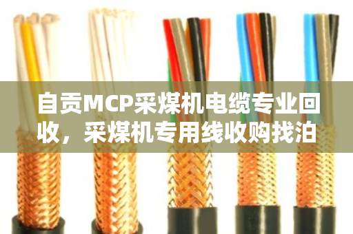 自贡MCP采煤机电缆专业回收,采煤机专用线收购找泊祎回收,省钱又省心 自贡MCP采煤机电缆专业回收,采煤机专用线收购找泊祎回收,省钱又省心