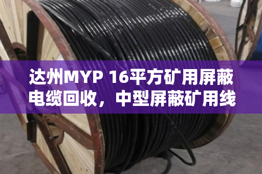 达州MYP 16平方矿用屏蔽电缆回收,中型屏蔽矿用线变现不愁—泊祎回收给你实在价 达州MYP 16平方矿用屏蔽电缆回收,中型屏蔽矿用线变现不愁—泊祎回收给你实在价