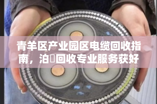 青羊区产业园区电缆回收指南,泊祎回收专业服务获好评 青羊区产业园区电缆回收指南,泊祎回收专业服务获好评