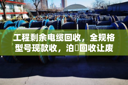 工程剩余电缆回收，全规格型号现款收，泊祎回收让废缆变现金