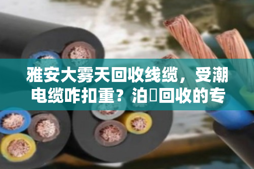 雅安大雾天回收线缆,受潮电缆咋扣重?泊祎回收的专业账本算得明明白白 雅安大雾天回收线缆,受潮电缆咋扣重?泊祎回收的专业账本算得明明白白