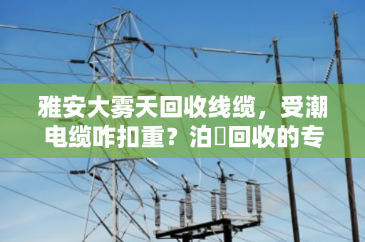 雅安大雾天回收线缆,受潮电缆咋扣重?泊祎回收的专业账本算得明明白白 雅安大雾天回收线缆,受潮电缆咋扣重?泊祎回收的专业账本算得明明白白