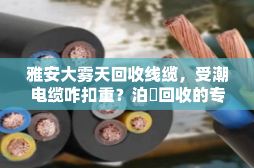 雅安大雾天回收线缆,受潮电缆咋扣重?泊祎回收的专业账本算得明明白白 雅安大雾天回收线缆,受潮电缆咋扣重?泊祎回收的专业账本算得明明白白