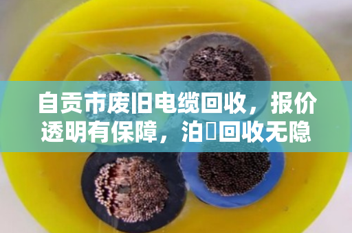 自贡市废旧电缆回收,报价透明有保障,泊祎回收无隐形扣费 自贡市废旧电缆回收,报价透明有保障,泊祎回收无隐形扣费