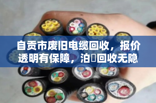 自贡市废旧电缆回收,报价透明有保障,泊祎回收无隐形扣费 自贡市废旧电缆回收,报价透明有保障,泊祎回收无隐形扣费