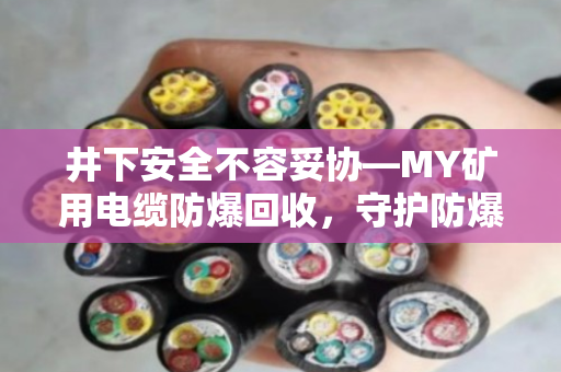 井下安全不容妥协—MY矿用电缆防爆回收,守护防爆井下专用线的每一米价值 井下安全不容妥协—MY矿用电缆防爆回收,守护防爆井下专用线的每一米价值