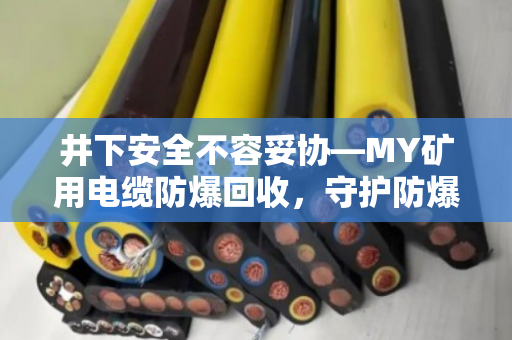 井下安全不容妥协—MY矿用电缆防爆回收,守护防爆井下专用线的每一米价值 井下安全不容妥协—MY矿用电缆防爆回收,守护防爆井下专用线的每一米价值