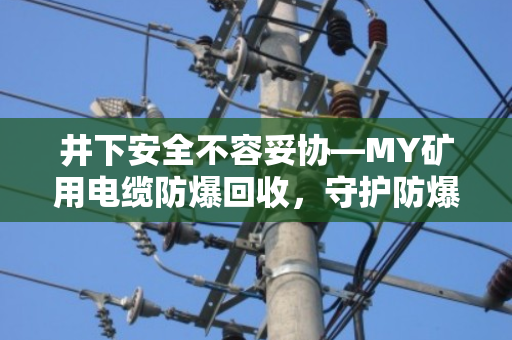 井下安全不容妥协—MY矿用电缆防爆回收，守护防爆井下专用线的每一米价值