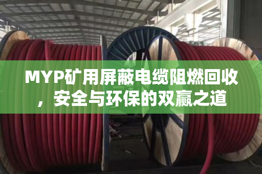 MYP矿用屏蔽电缆阻燃回收，安全与环保的双赢之道