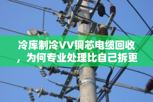 冷库制冷VV铜芯电缆回收,为何专业处理比自己拆更划算? 冷库制冷VV铜芯电缆回收,为何专业处理比自己拆更划算?