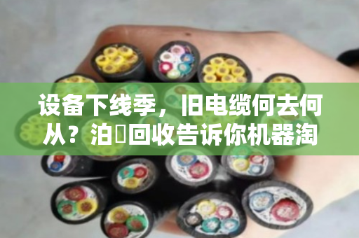 设备下线季,旧电缆何去何从?泊祎回收告诉你机器淘汰后的绿色账本 设备下线季,旧电缆何去何从?泊祎回收告诉你机器淘汰后的绿色账本