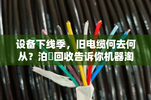 设备下线季,旧电缆何去何从?泊祎回收告诉你机器淘汰后的绿色账本 设备下线季,旧电缆何去何从?泊祎回收告诉你机器淘汰后的绿色账本