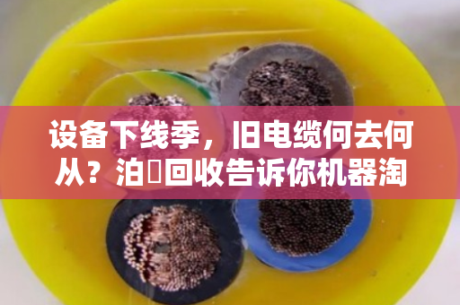 设备下线季，旧电缆何去何从？泊祎回收告诉你机器淘汰后的绿色账本