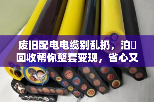废旧配电电缆别乱扔,泊祎回收帮你整套变现,省心又划算 废旧配电电缆别乱扔,泊祎回收帮你整套变现,省心又划算